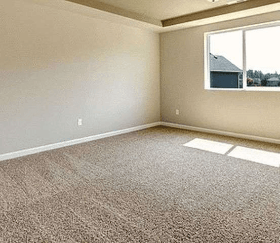 Application of Carpet Protector